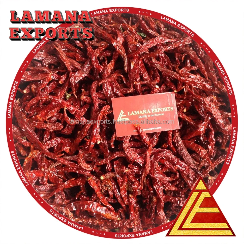 Byadgi Super Dry Red Chilli Byadgi / Byadagi Stemless India Chilli Premium Quality