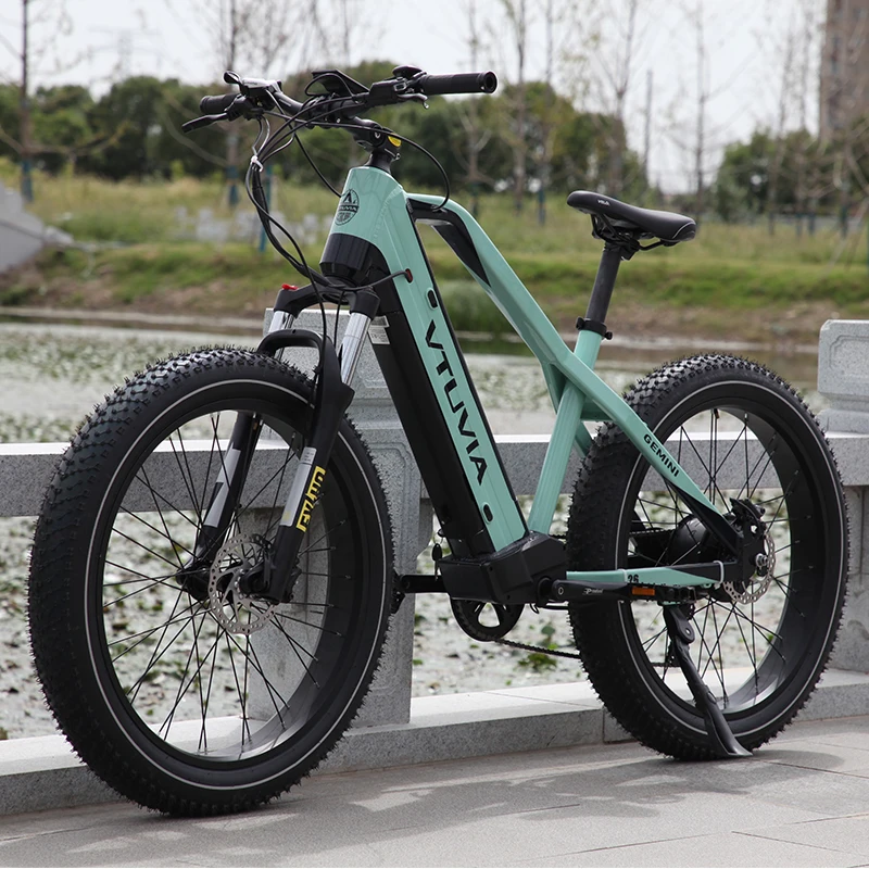 Customized 750w1000w fat tire customized dual battery electric bike electric mountain bike full suspension 52v e bikes