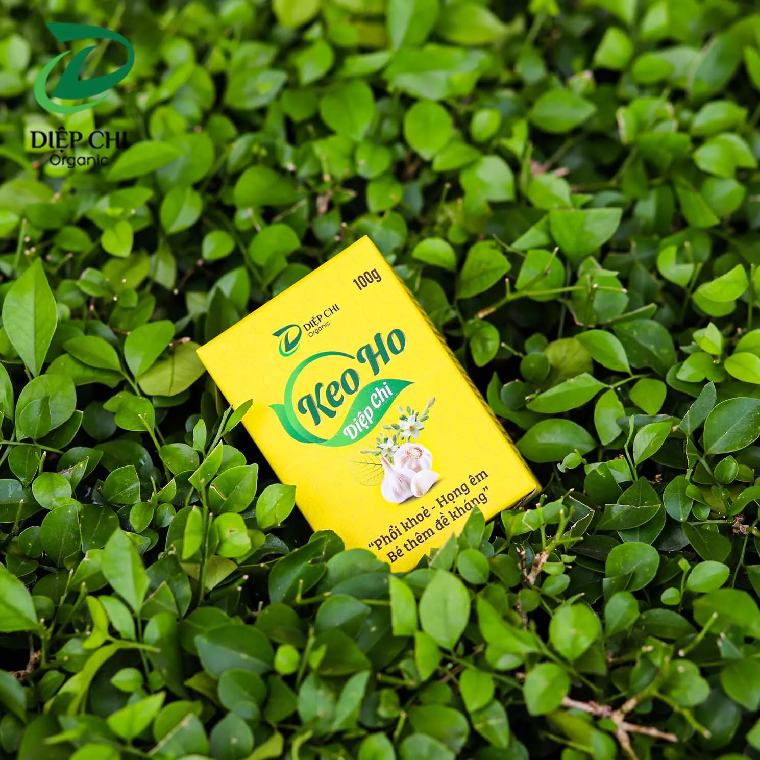 Высококачественный Сироп от кашля, свежий вьетнамский продукт, натуральный Сироп от кашля