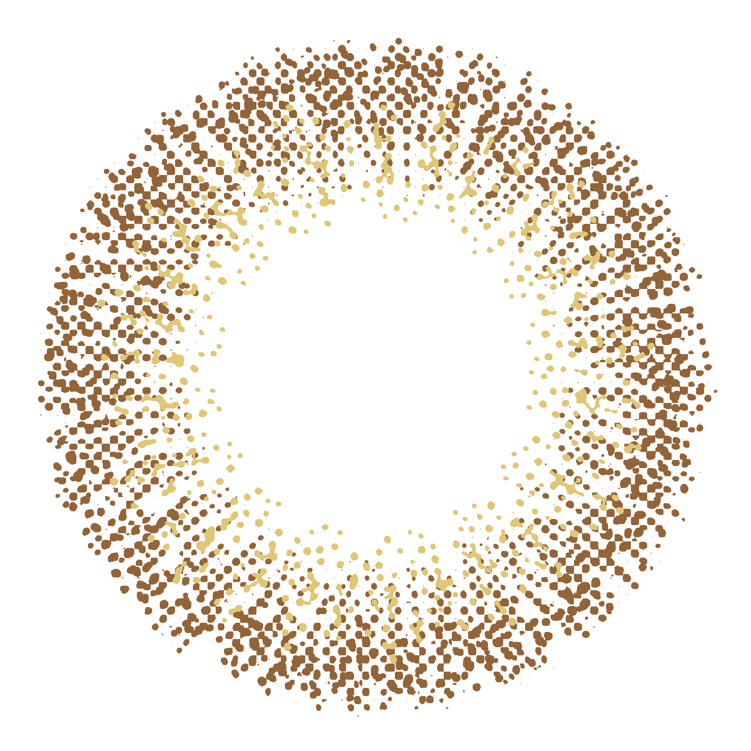 colored contact lenses  using cycle 6 months popular lenses for USA market