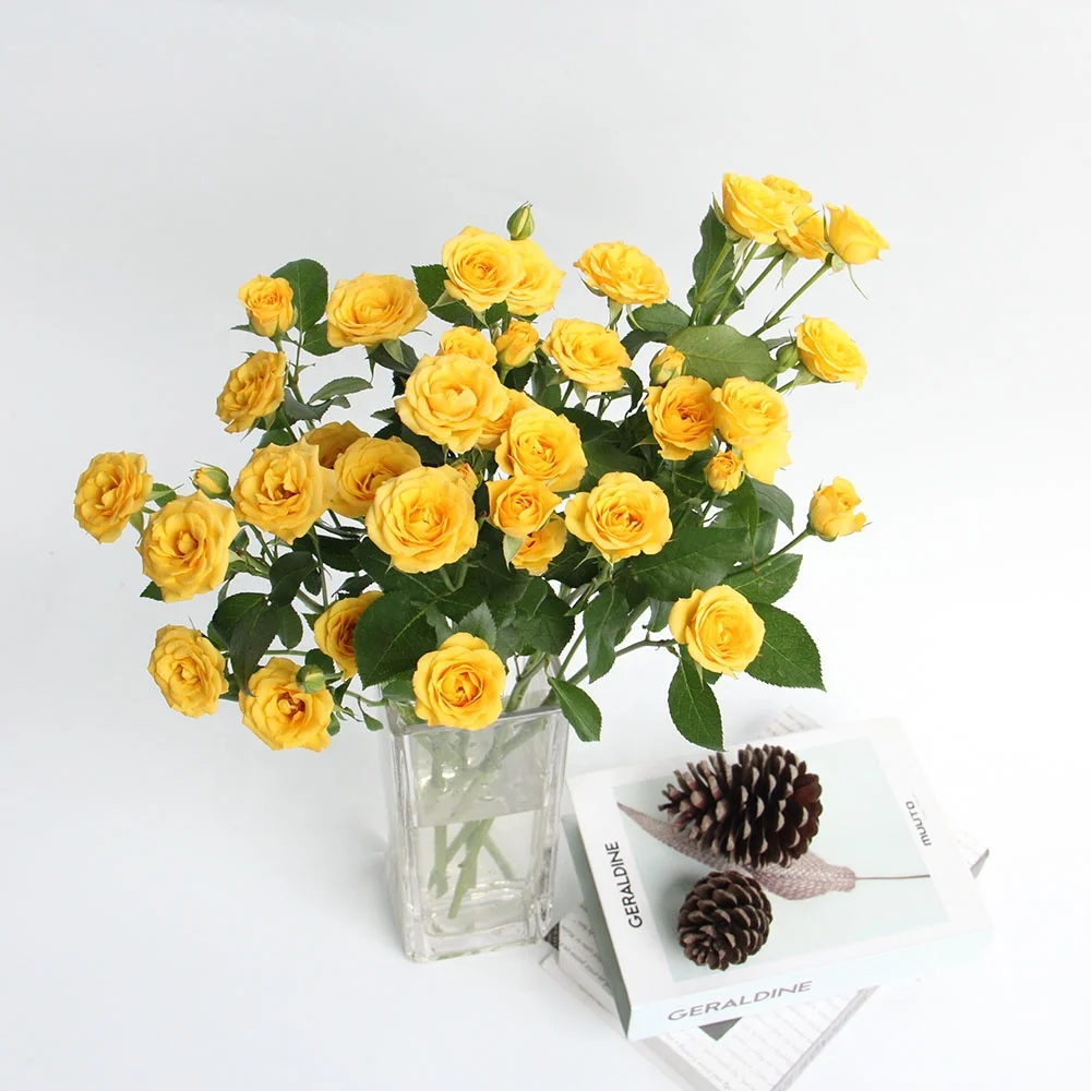 Spray Rose Flower Red Rose Carnation Wholesale Many Colors Packed Wedding Supplies Yellow Bobby Gifts Goods Favor