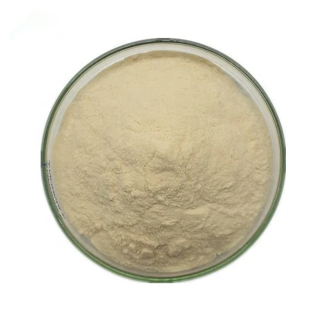 Wholesale Raw Material Food Grade Algae Oil DHA Powder