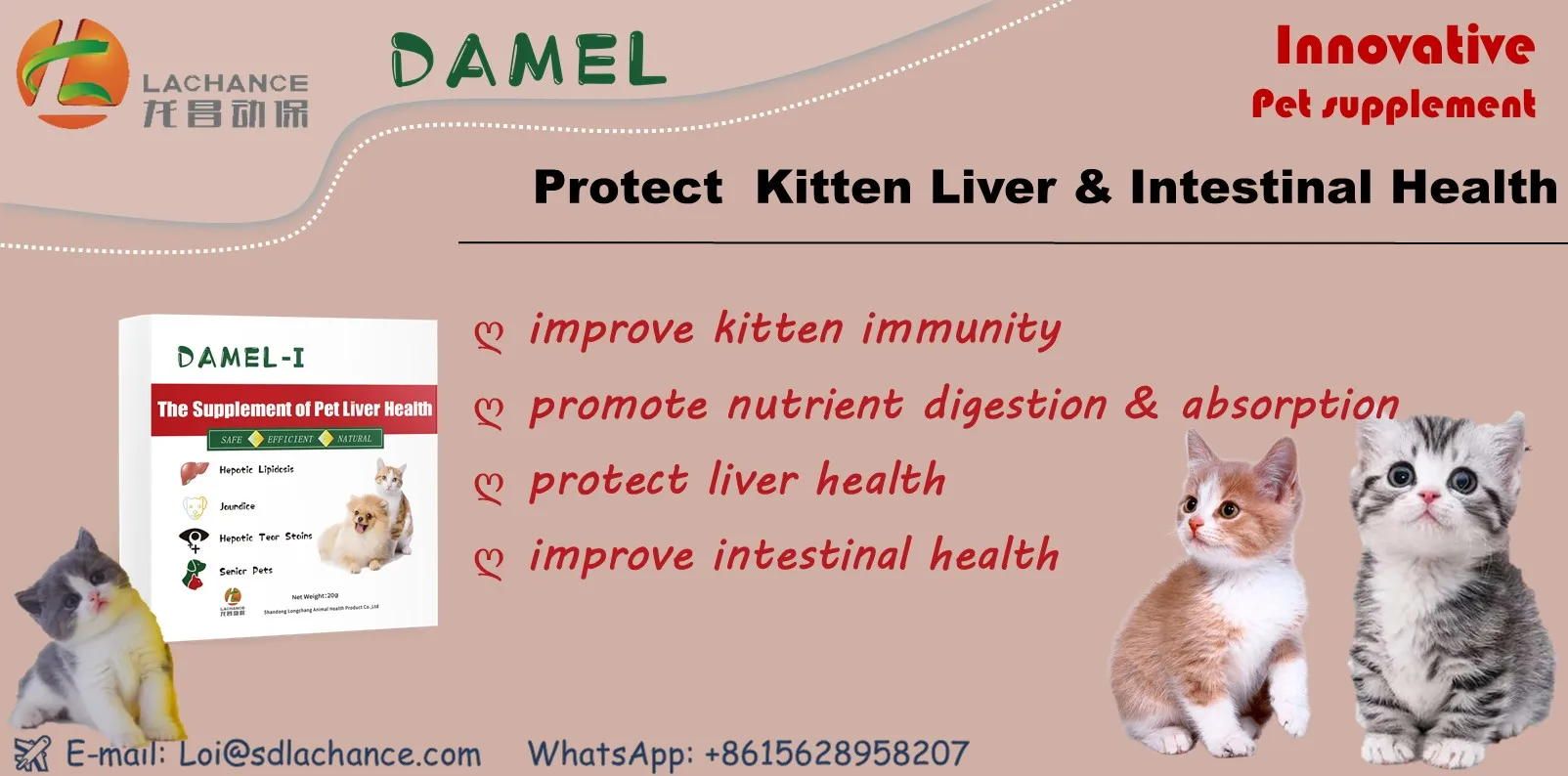 Dog Nutrient digestion Health Supplement with Patent | care about liver and gallbladder health | prevent liver diseases