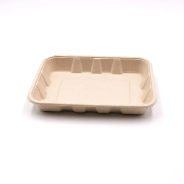 disposable sugarcane bagasse food tray with plastic cover lid