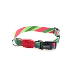 Multifunctional pet training collar with great price