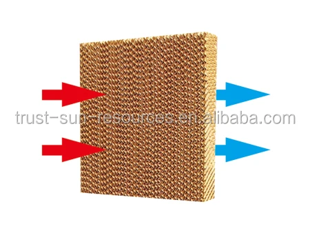 Low Cost and High Quality Chinese Agricultural Greenhouse/Henhouse Wet/Cooling Pad