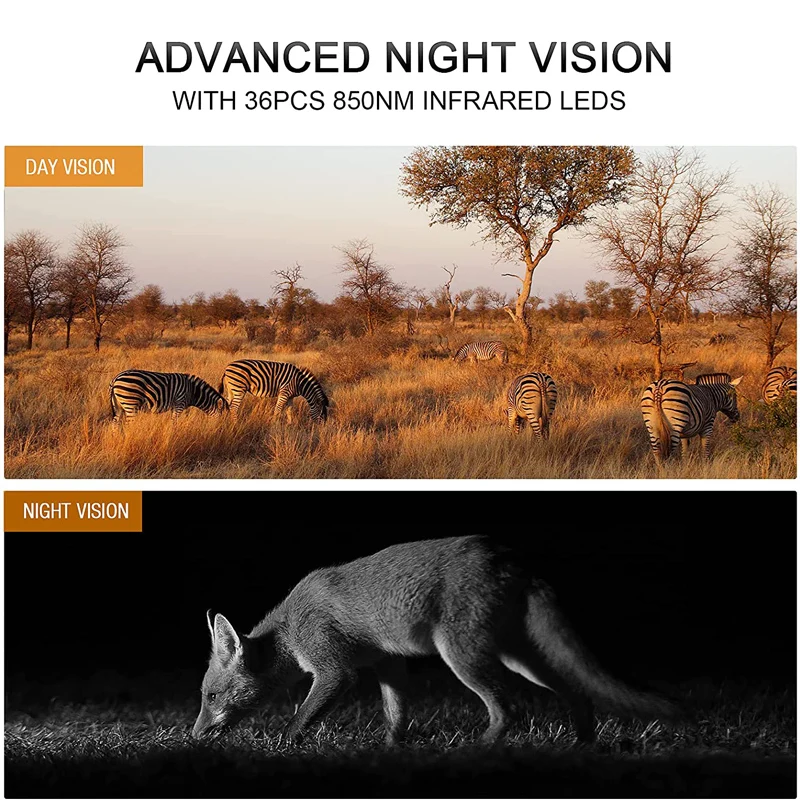 Sport Hunting Video Recorder 12MP Photo Outdoor Camera Night Vision Infrared Hunting Trail Camera