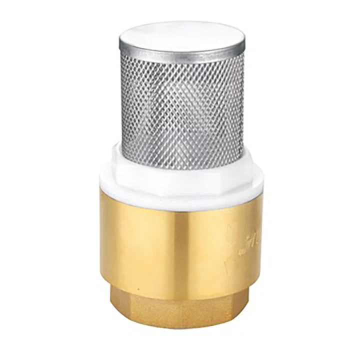 Good Quality Brass Check Valve Spring Check Valve Foot Valve  with SS304 Filter for Backflow Preventer