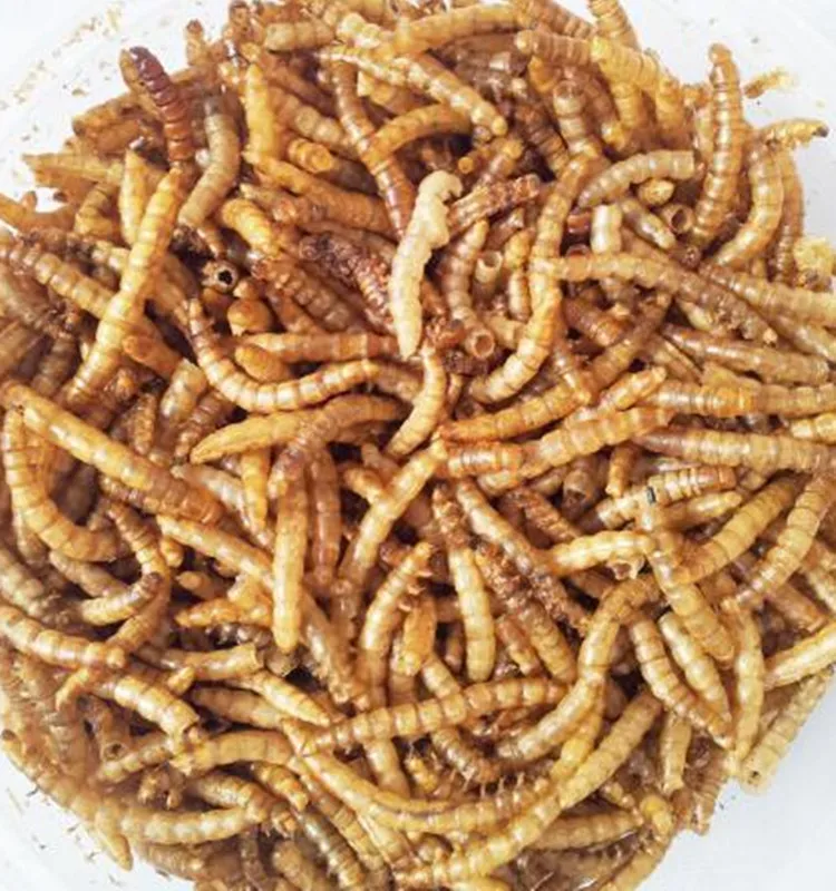 Fully Stocked Wholesale Fish Bird Snack Food Microwave Dried Mealworms