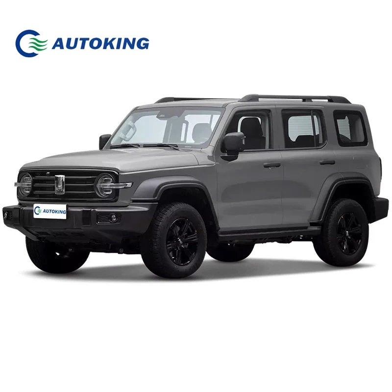 2023 China Wholesale Great Wall Tank 300 Gas Car GWM Tank 300 Gasoline AT Engine 2.0 T Family Compact 5 Seats Suv Car for Sale
