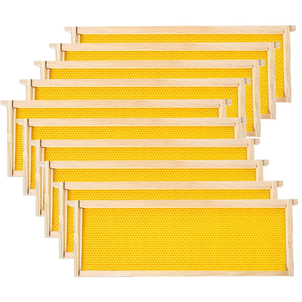 Bee Frame With Bee Wax Foundation Sheet Super Wood Bee Hive Frame for Beekeeping