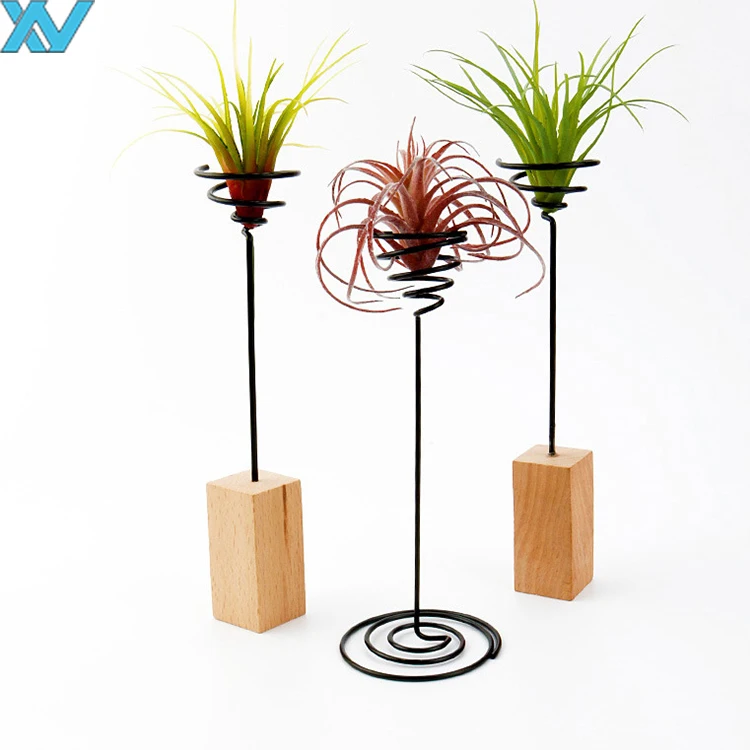 Display Desk decorate air-plant metal holder clip metal wire storage stands with wooden base