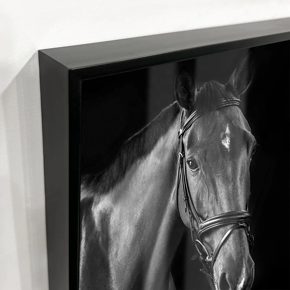 Hot Selling Black&White Horses Acrylic Wall Art Prints Canvas Art Work Frameless Acrylic Painting Oil Painting for Wall Decor.