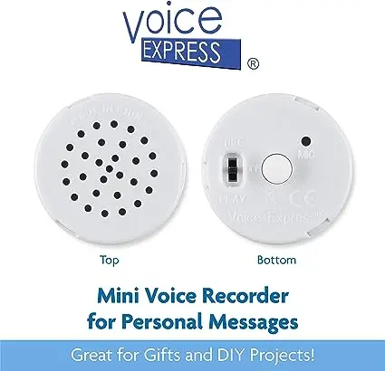 VoiceGift 20 Second Mini-Me Voice Recorder