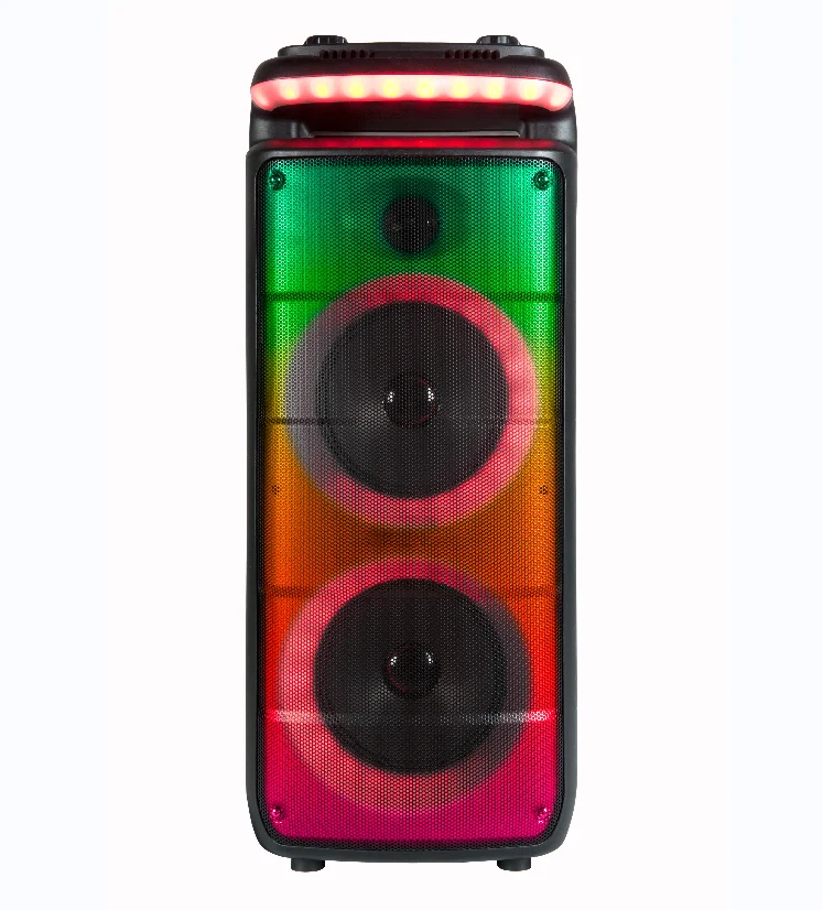 Dual 8 inch Speakers Portable Powerful audio  rechargeable