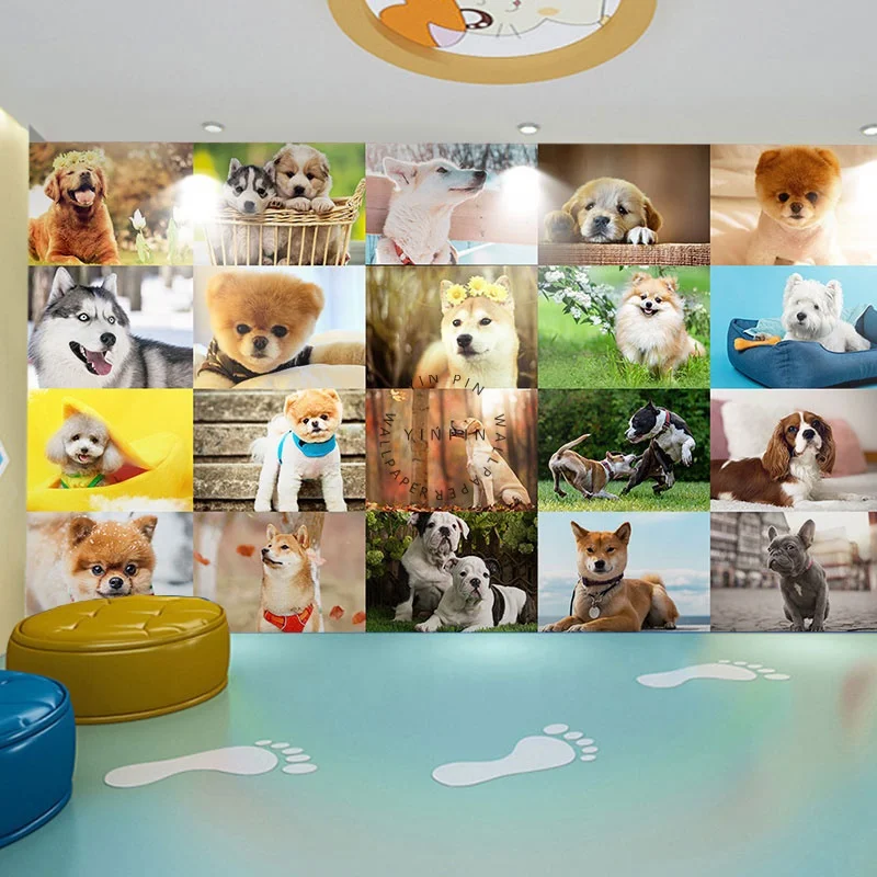 Dog photo background decoration wallpaper peel and stick for pet shop