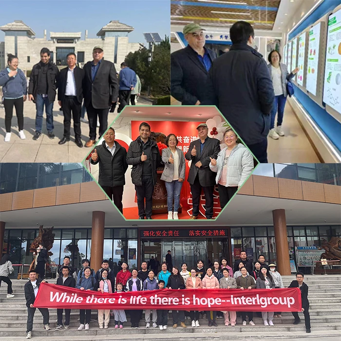 Пищевая добавка усилитель nh e440 пектин яблока цена модифицированный цитрусовый порошок