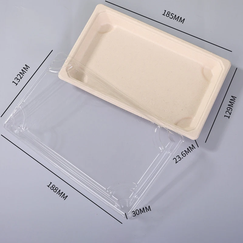 Rectangle plastic sushi plate sugarcane bagasse Takeaway bagasse