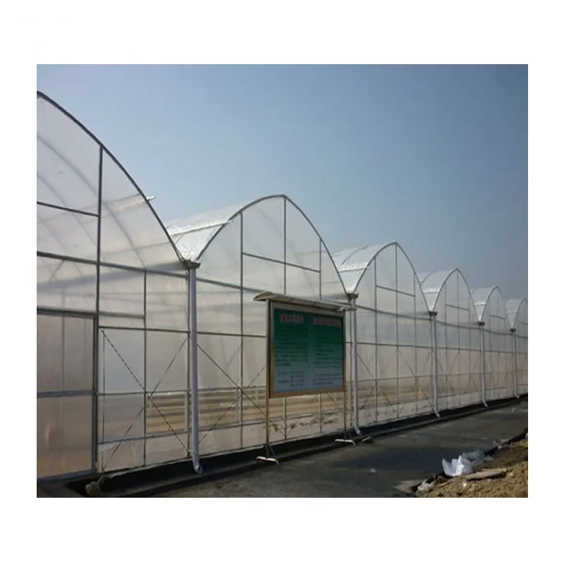 Agricultural Greenhouse Film Polytunnel Agricultural Greenhouse Multi-span Greenhouses for Vegetables