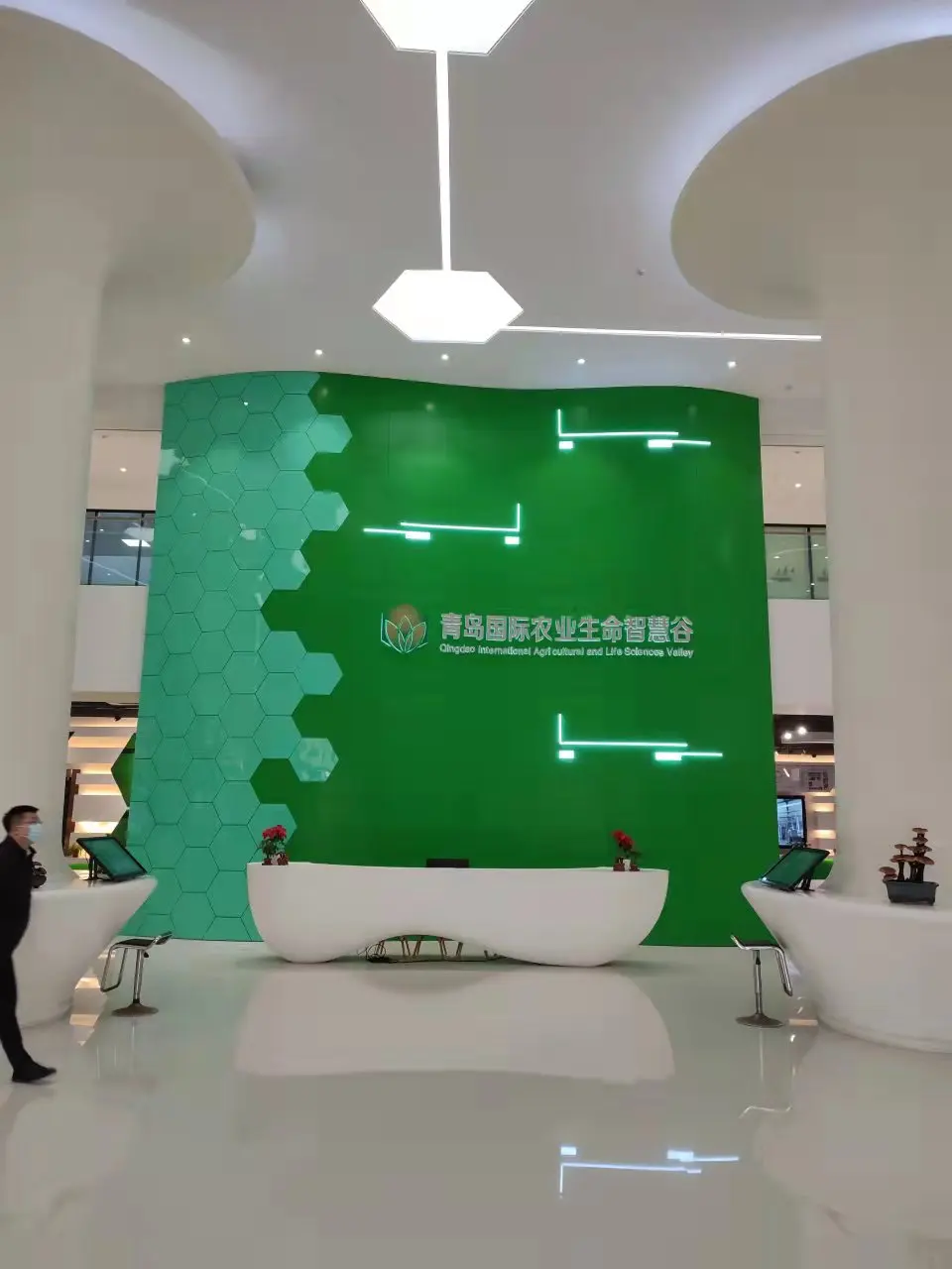Insecticide Diazinon 25% EC for Cotton Aphid Diazinon