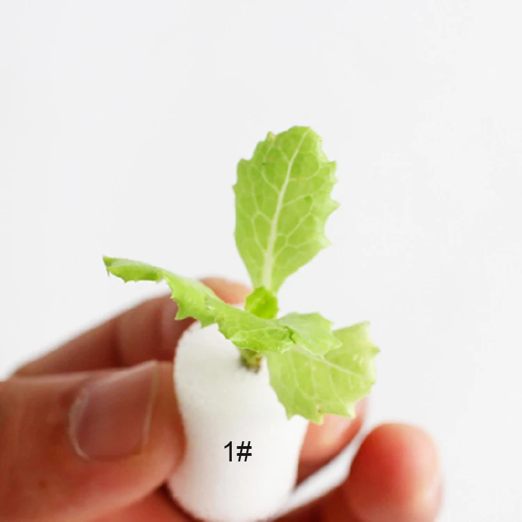 Hydroponic Seeding Sponge Foam for Hydroponic System