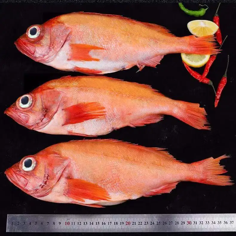  Shandong Ocean Village Food Clean and Delicious EU Standard Chemical Treated IQF Frozen