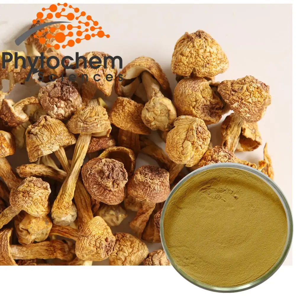 
Pure Natural Best Price Agaricus Blazei murrill powder Agaricus Blazei mushroom extract 