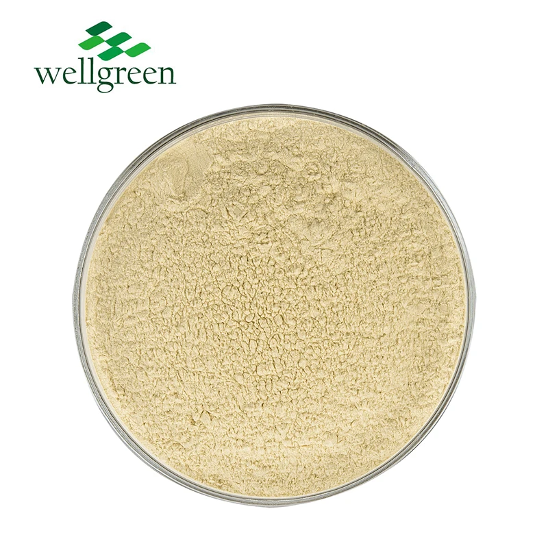 Lecithin Sunflower Powder Cas 8002-43-5 Purity 95% Phospholipids Bulk Supply Sunflower Lecithin