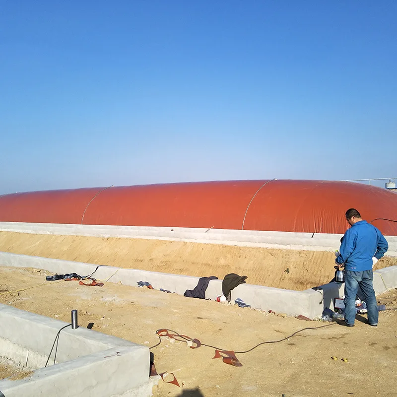 Льготная цена нелегко носить большой мягкий биогазовый