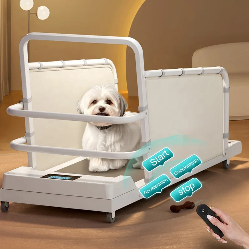 Dericsson Small Dog Treadmill Walking Machine Pet Treadmill For Cats