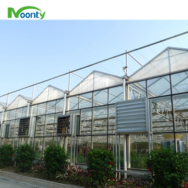 Modern venlo Polycarbonate Glass farming greenhouse Multi-Span Commercial pc sheet Greenhouses Prefab green house overall system