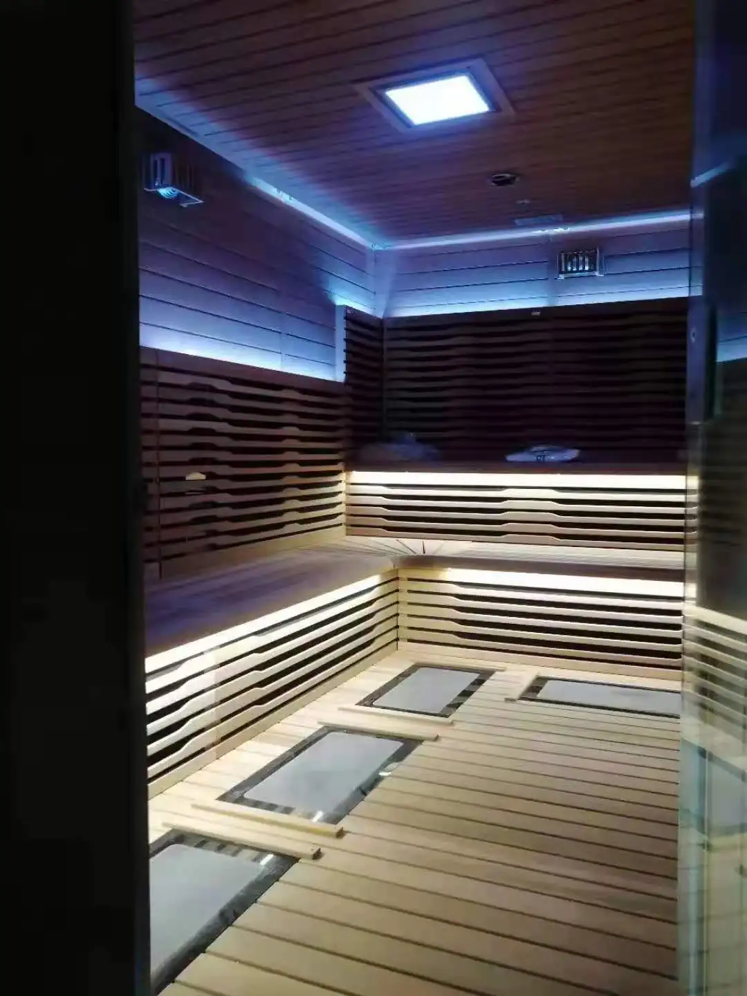 Professional sauna manufacturer luxury design customize indoor/outdoor sauna room with TV