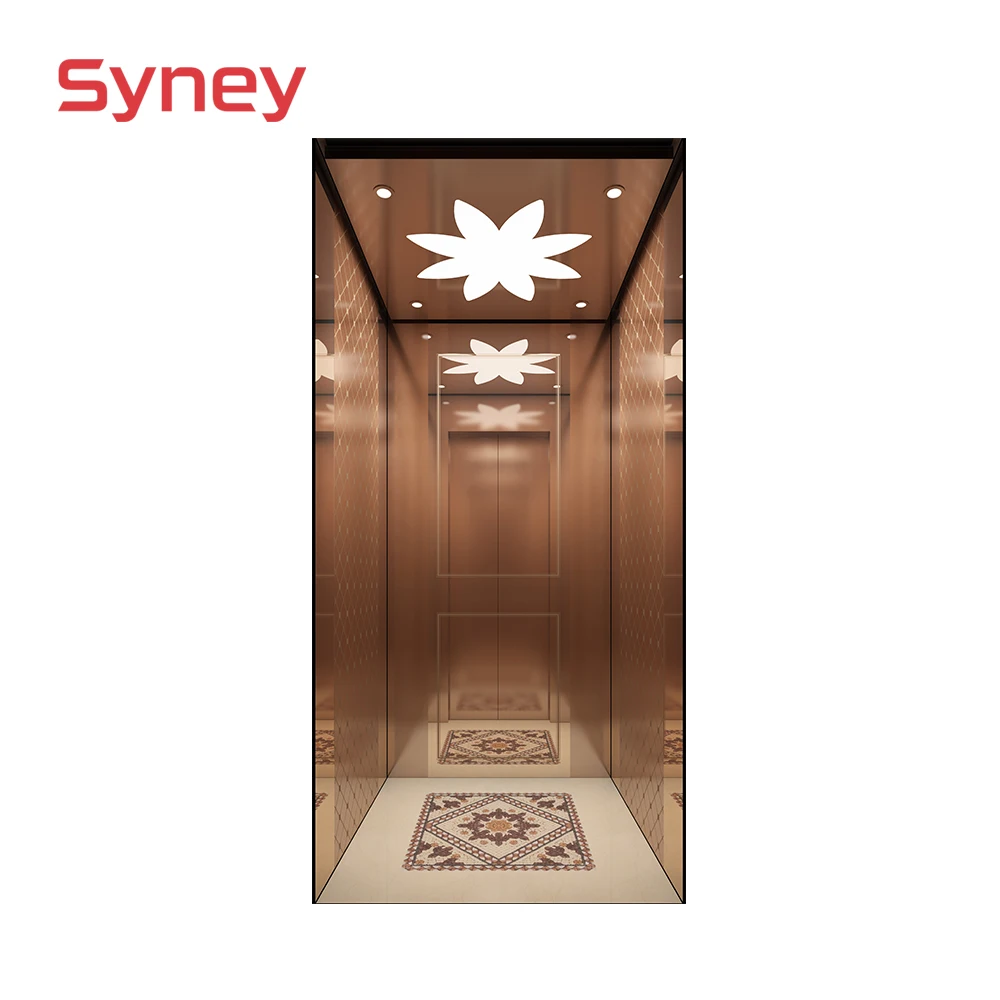 Syney Superior Quality Stable Performance 4~5 Persons Home Villa Elevator