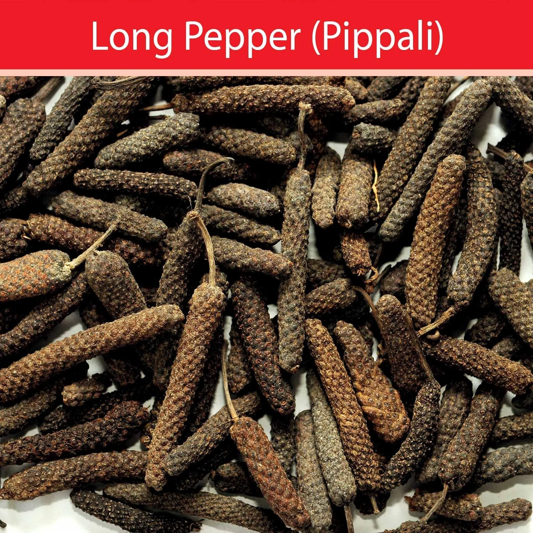 
long pepper 