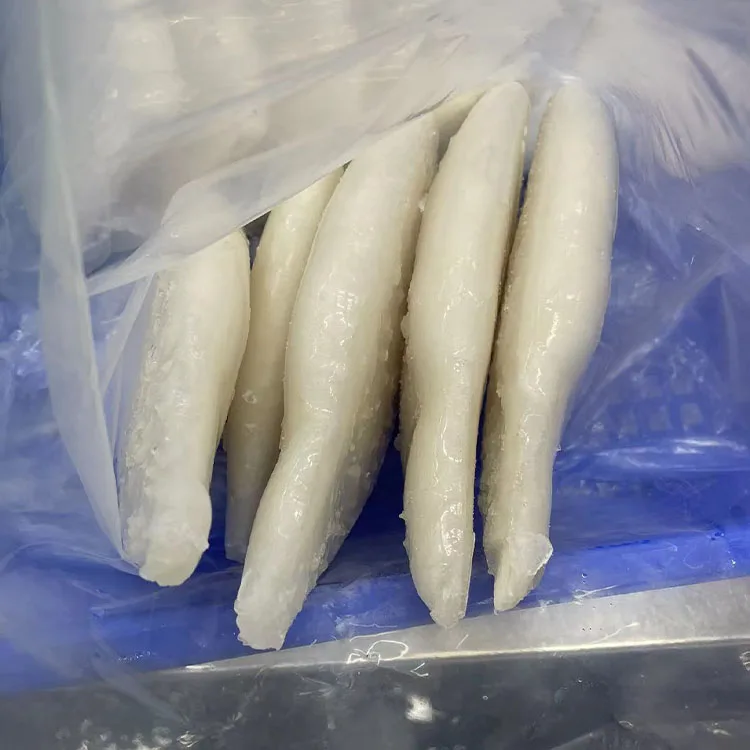Hot Sale Fresh Frozen Squid from China at Competitive Price Nutritious Squid with CE EU Certificate Squid for USA Bag Block