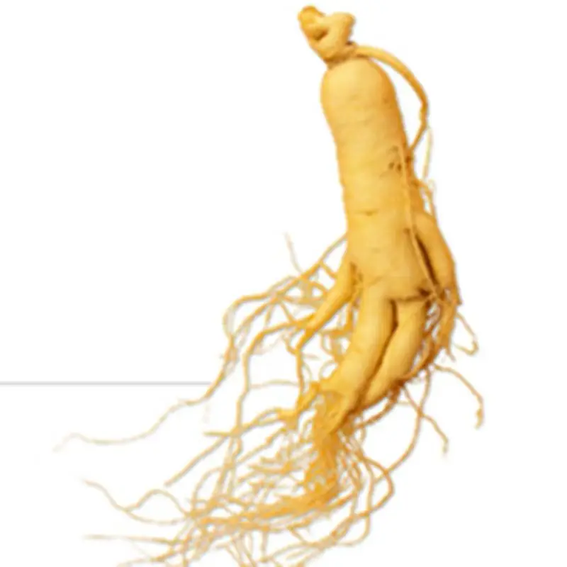 Продукты питания и напитки женьшеня