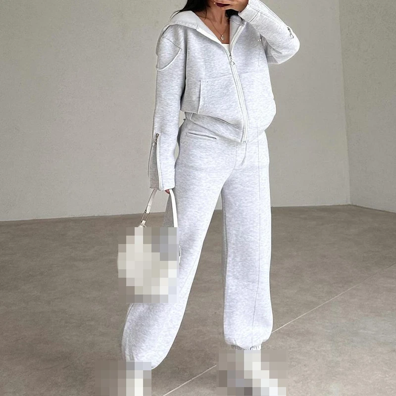 2024 новые тренды осенний чистый разноцветный стильный самый простой спортивный костюм с капюшоном для женщин