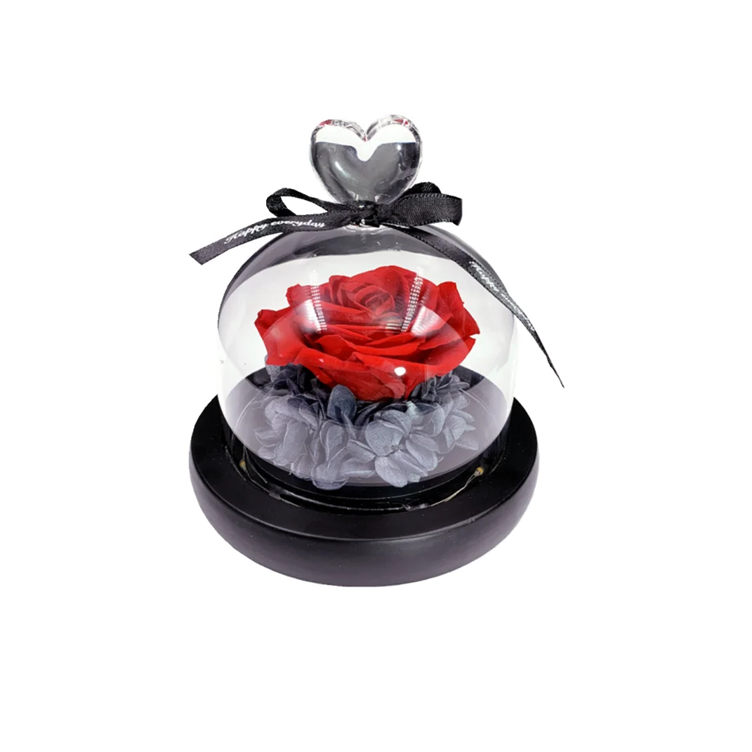 
A Grade Real Natural Eternal Forever Immortal Preserved Roses in Glass Dome 