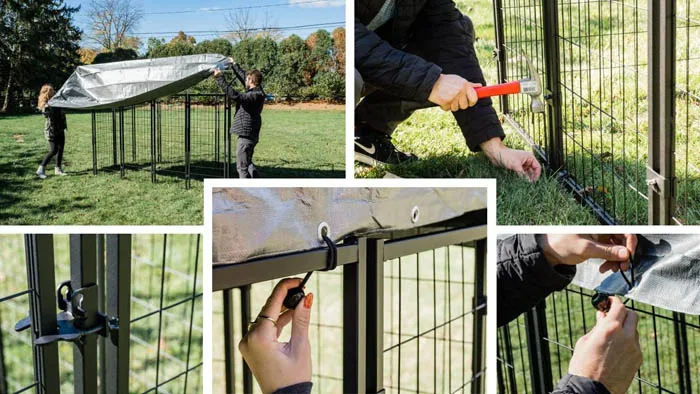 welded wire dog fence1.jpg