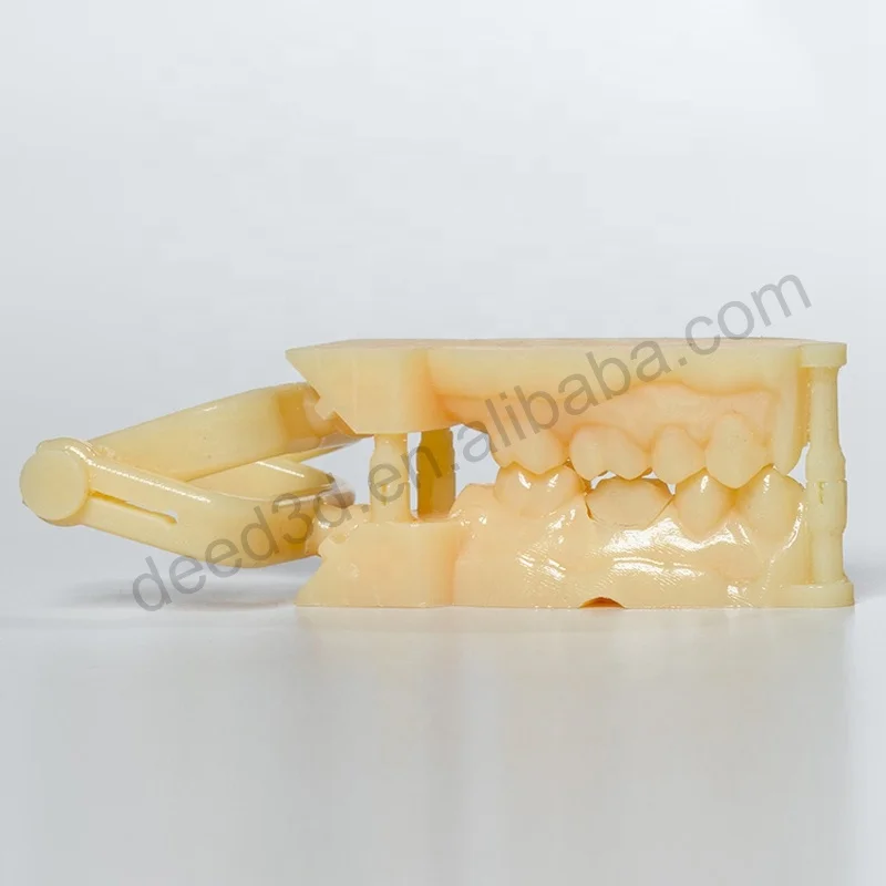 Custom Silicon Resin Mold Rapid Prototype Custom 3D Print Oral Teeth Dental Model 3d Printing Supplier