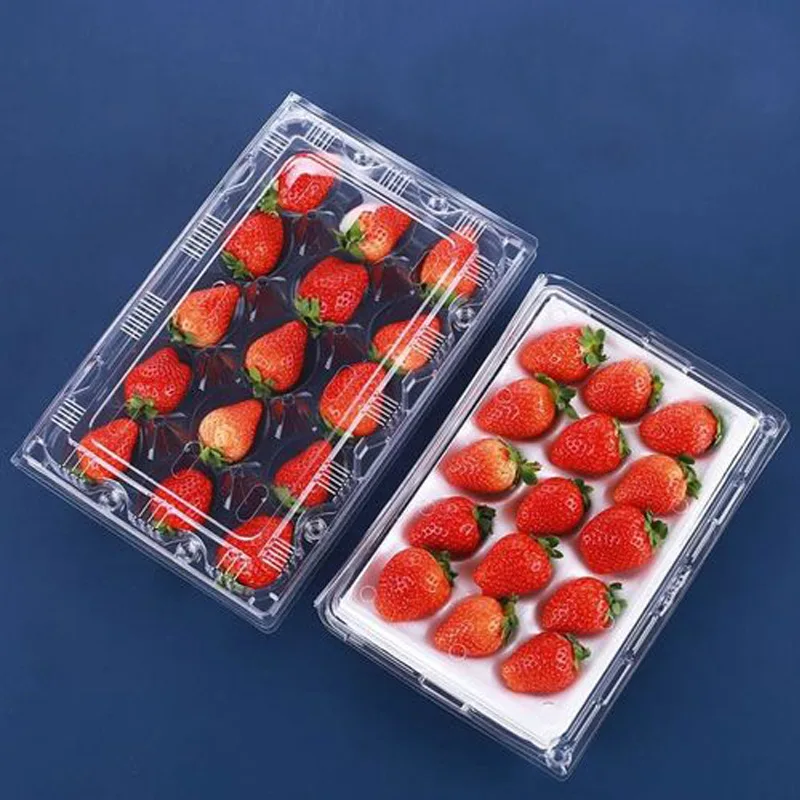 Reusable 9 11 12 15 20 24 pcs Insert Disposable PET Custom Food Grade Blister Container Plastic Fruit Strawberry Packaging Tray