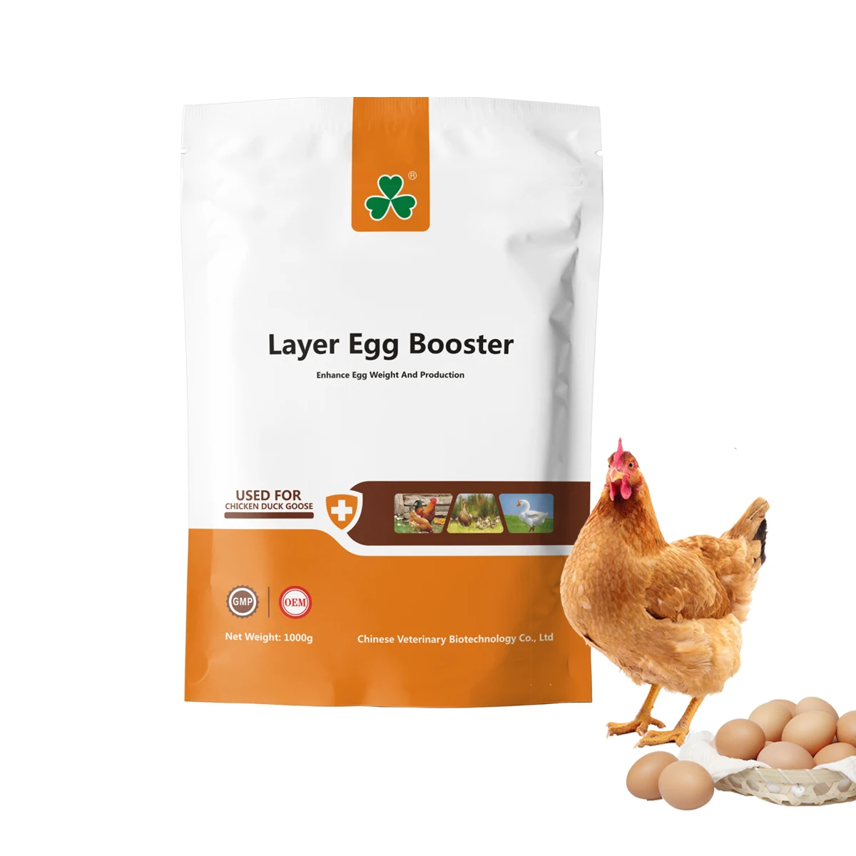 fertilized chicken eggs chicken feed supplements