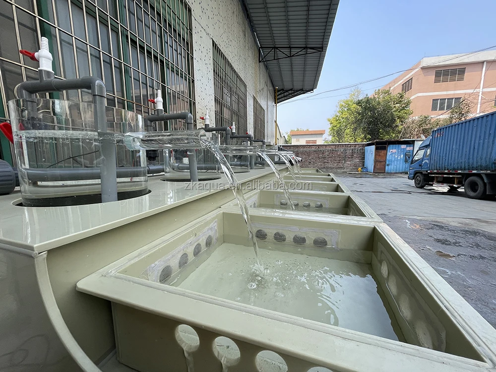 Fishery Juveniles Fish Jars Tilapia Hatchery Supplier