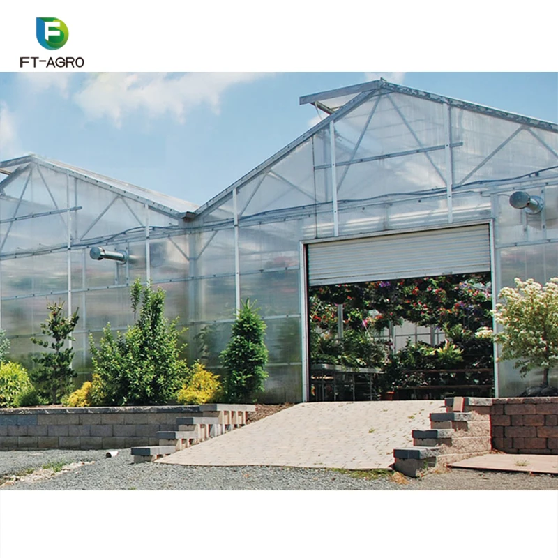 Greenhouse PC sheet vegetable production complete  greenhouses china