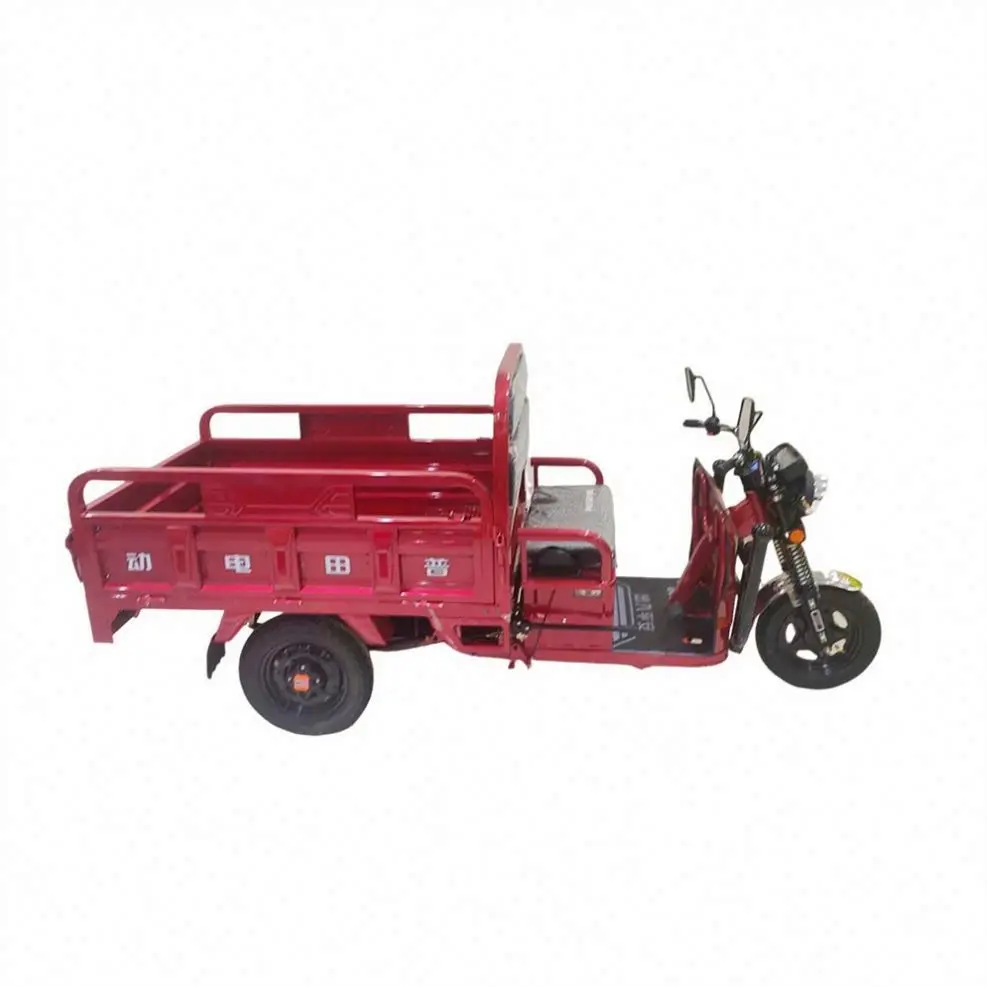 Foldable 100Kg 3 Wheel Electric Tricycle Ice Cream Bike for Sale