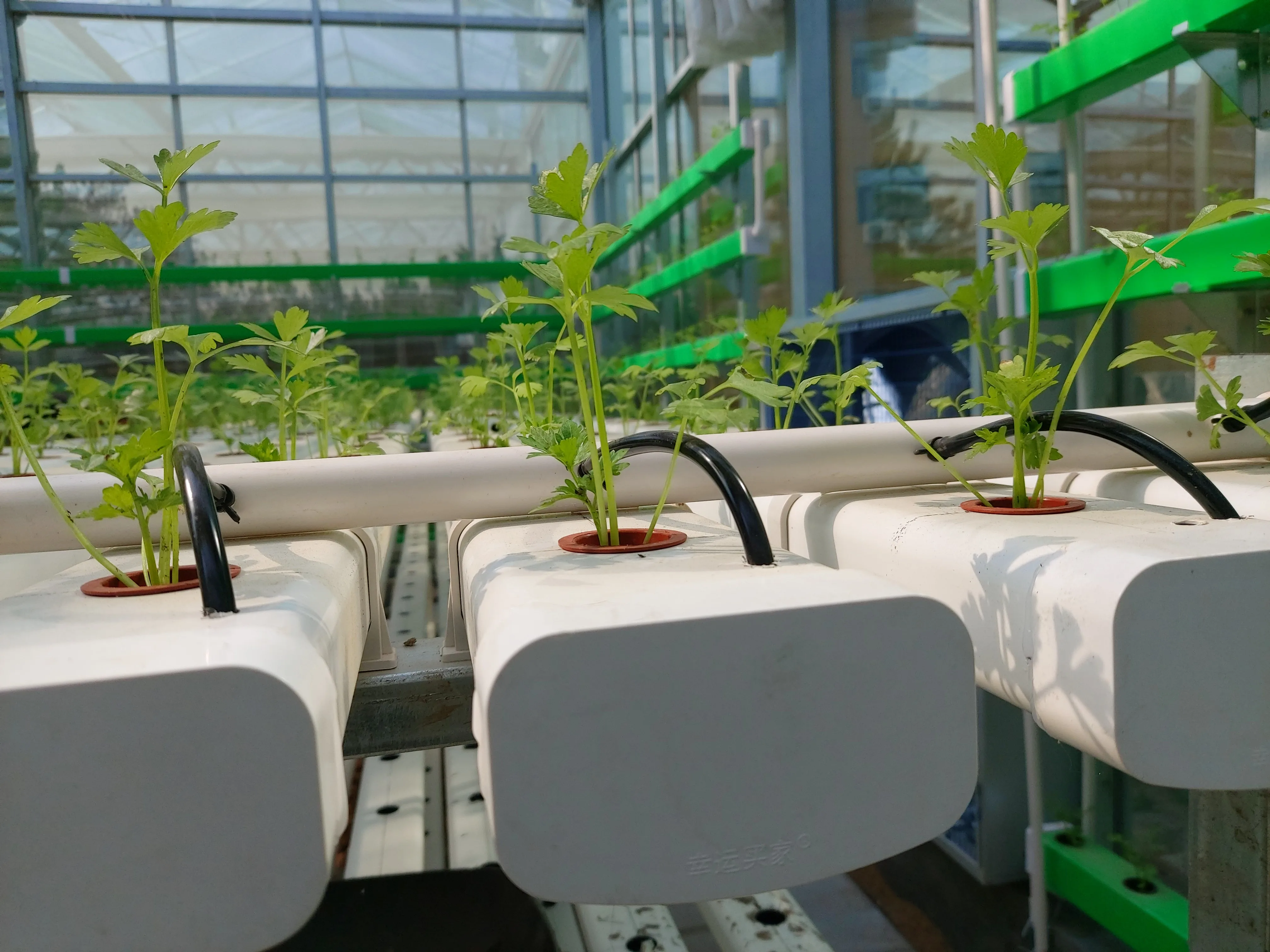 vertical hydroponics farming  NFT channels