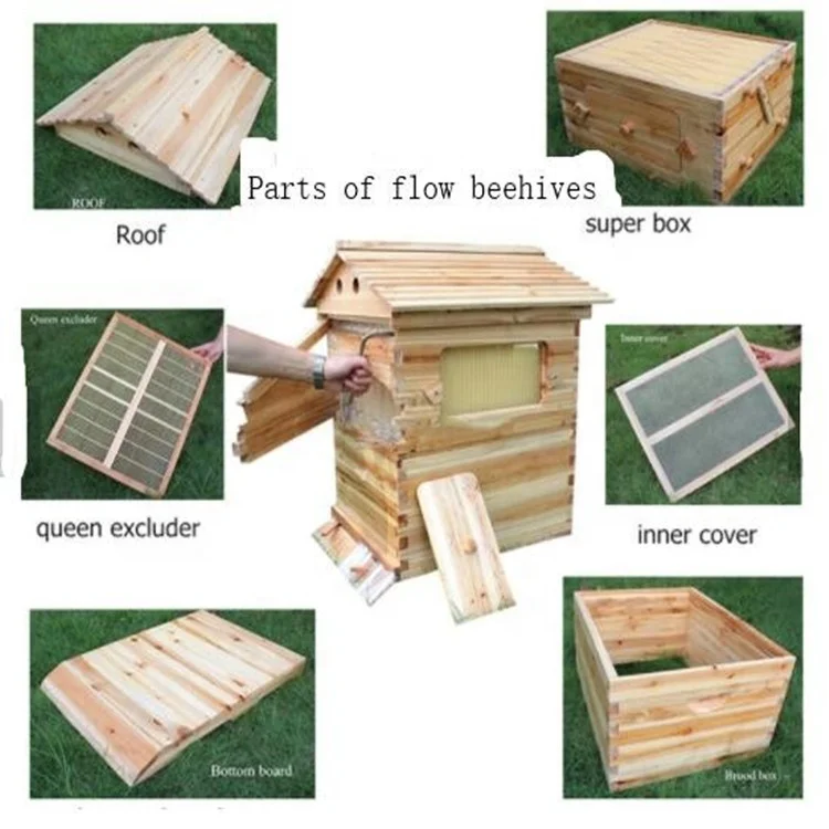 Honey Bee Hive & 7 Auto Frames honey outflow beehive honey comb full set
