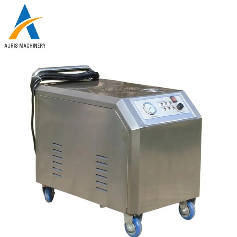 Electric Heating Double Gun Steam Cleaner High Pressure Cleaning Washer Equipment for car washing