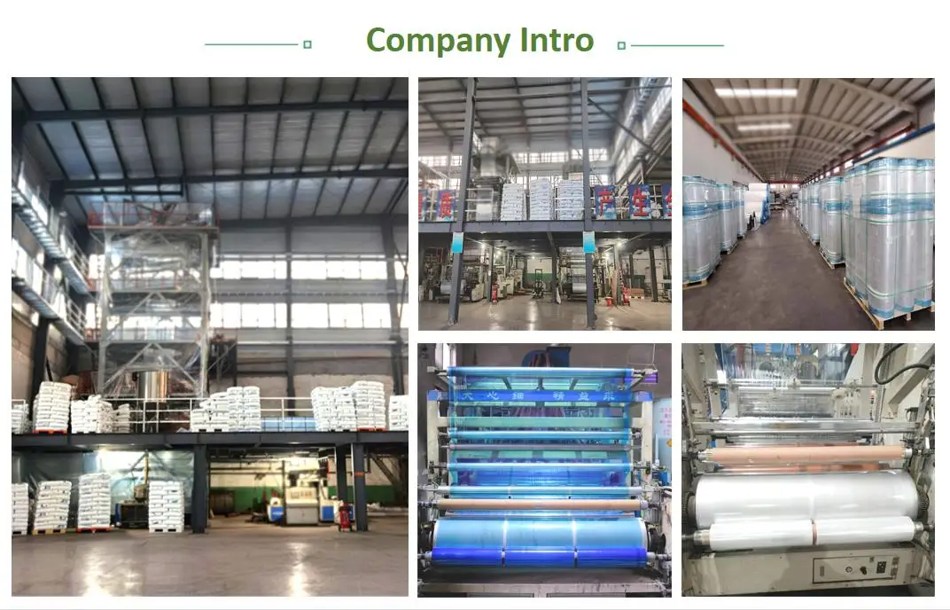 200 micron greenhouse film Pe Clear Plastic Film Roll/100% virgin LDPE greenhouse covering film for covering roof,greenhouse film145,200 Micron Greenhouse Film,Greenhouse Covering Film,Pe Clear Plastic Film Roll