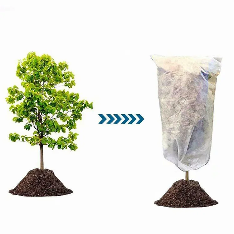 China Manufacture Agfabric Row Cover Plant Frost Protection agricultural garden non woven fabric with UV